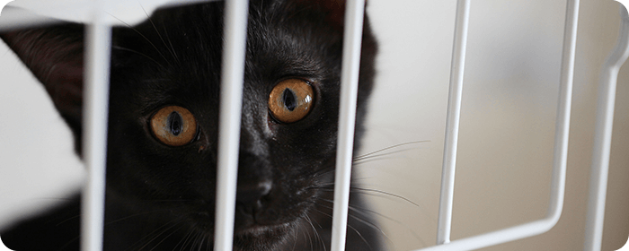 来院される際のお願い